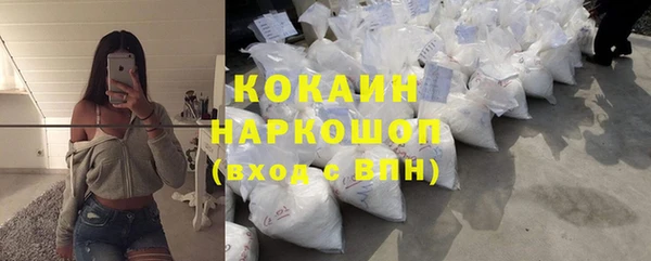 дживик Абаза