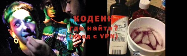 дживик Абаза