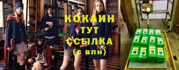 дживик Абаза