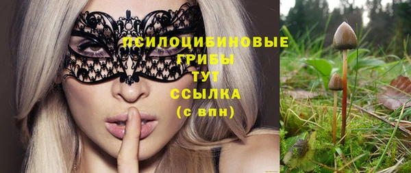 apvp Абинск