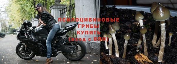 apvp Абинск