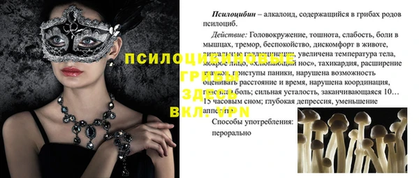 гидра Тихвин